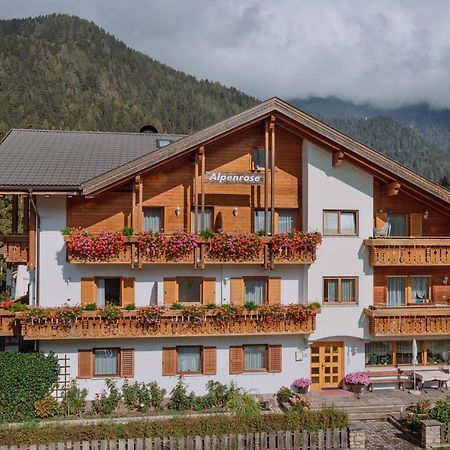Residence Alpenrose Rasùn di Sotto Eksteriør billede